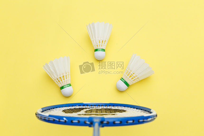 羽毛球选手 羽毛球选手