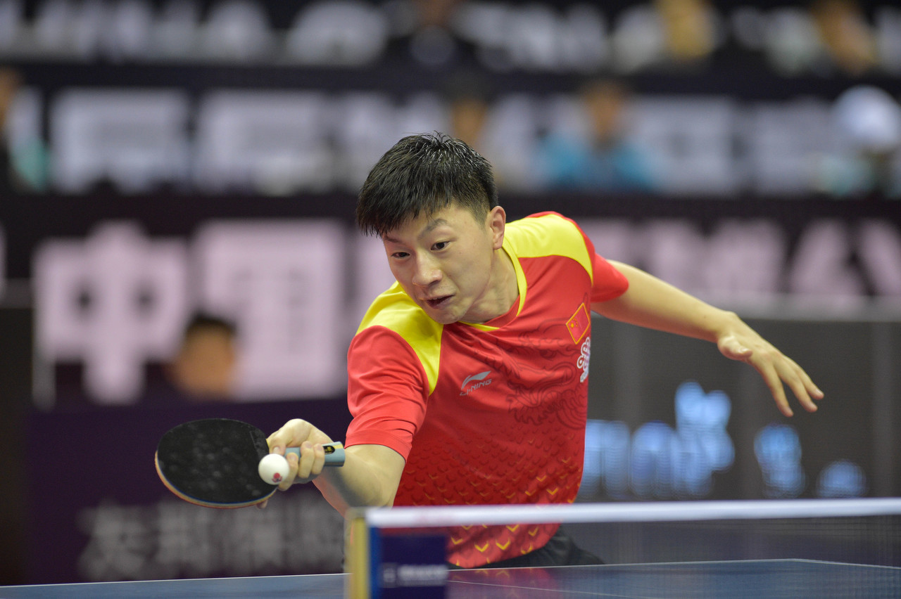 为青岛队赢 为青岛队赢