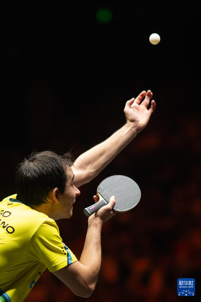 不仅反映了 不仅反映了